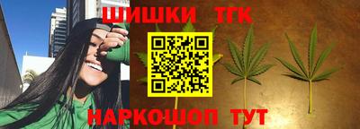 гашик Бийск