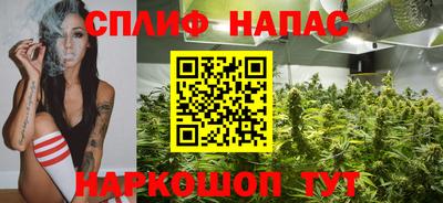 гашик Волжский