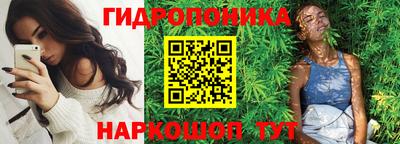 гашик Волжский