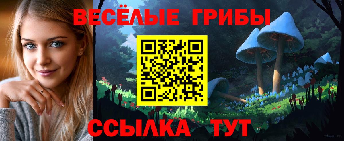 Псилоцибиновые грибы Psilocybine cubensis  Егорьевск 