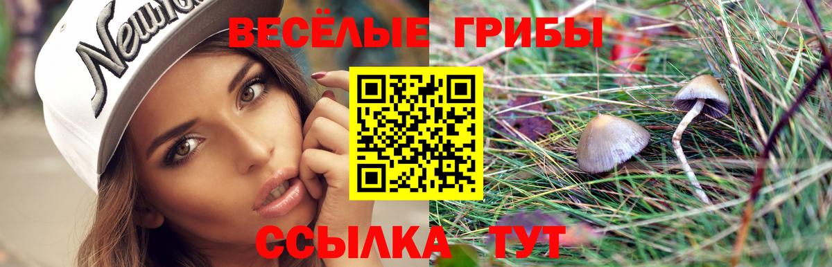 Псилоцибиновые грибы ЛСД  Вход с VPN  Егорьевск 