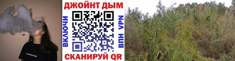 Бошки марихуана Amnesia Егорьевск